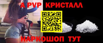 прущие грибы Тверь