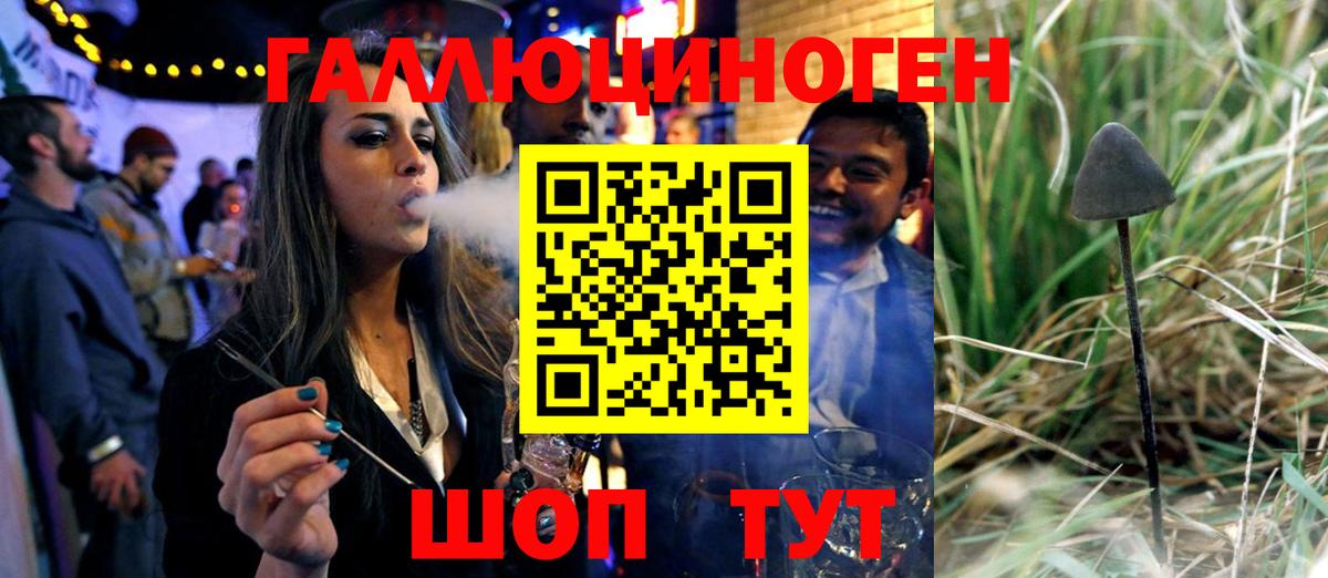 Нефтекамск  сколько стоит  Вход с VPN  Псилоцибиновые грибы Cubensis 